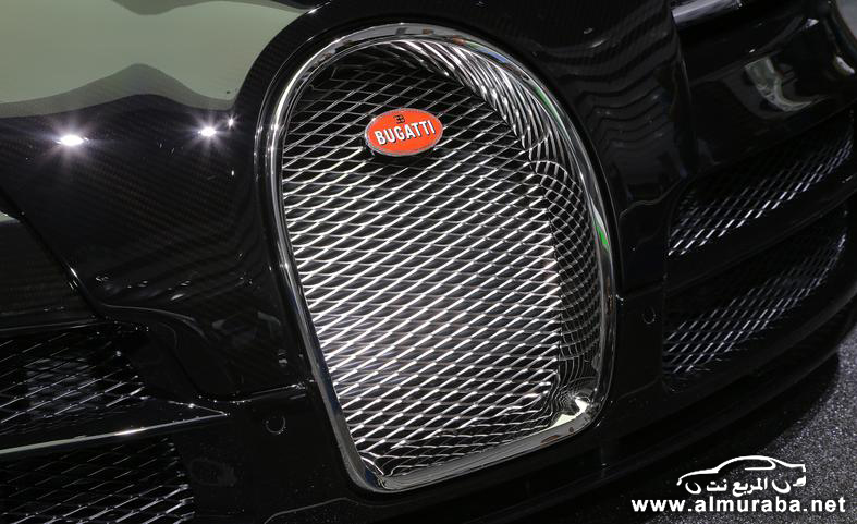 بوجاتي فيرون 2014 جراند سبورت فيتيس "جان" تتألق من جديد "بالصور" Bugatti Veyron 45