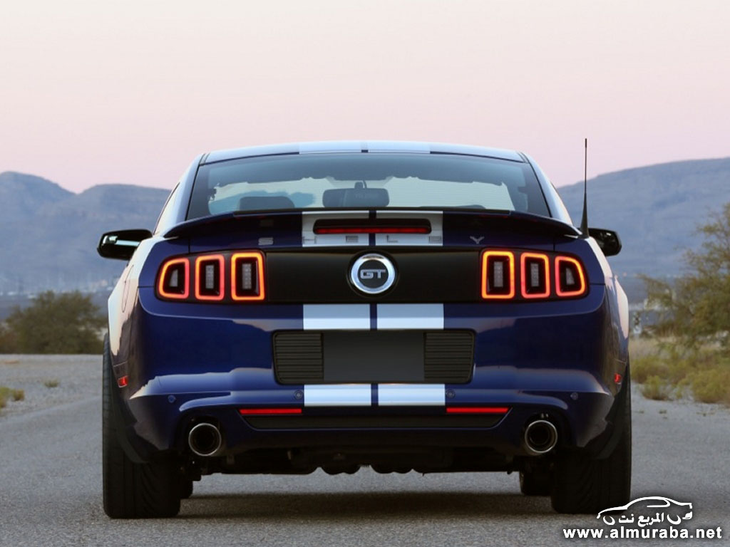 019-2014-shelby-gt-1