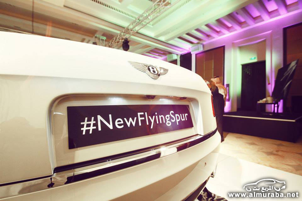 1390477_202563553259584_893807007_n