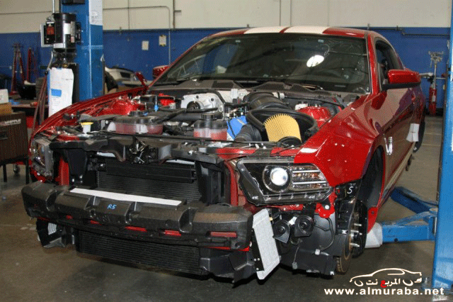 بدأ صنع وإنتاج موستنج شلبي جي تي 500 سوبر سنايك 2013 بالصور Ford Shelby GT500 بدأ صنع وإنتاج موستنج شلبي جي تي 500 سوبر سنايك 2013 بالصور Ford Shelby GT500 2