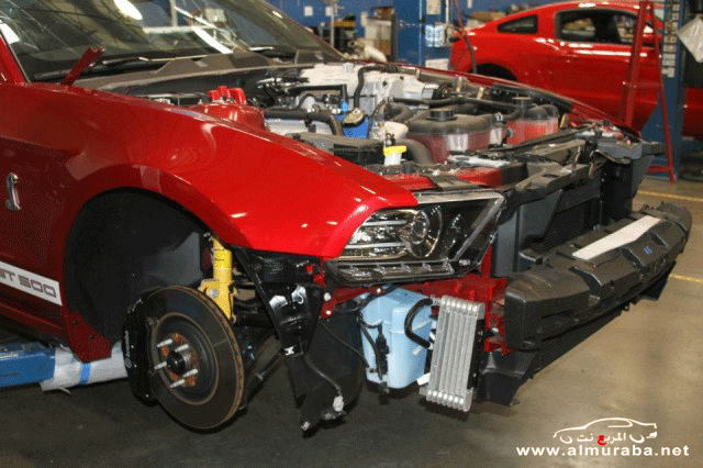 بدأ صنع وإنتاج موستنج شلبي جي تي 500 سوبر سنايك 2013 بالصور Ford Shelby GT500 بدأ صنع وإنتاج موستنج شلبي جي تي 500 سوبر سنايك 2013 بالصور Ford Shelby GT500 1