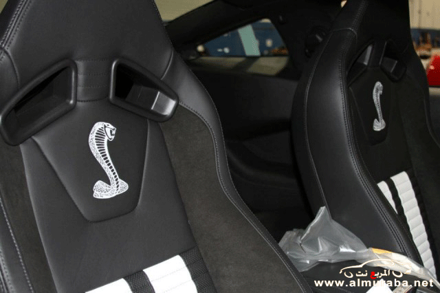 بدأ صنع وإنتاج موستنج شلبي جي تي 500 سوبر سنايك 2013 بالصور Ford Shelby GT500 بدأ صنع وإنتاج موستنج شلبي جي تي 500 سوبر سنايك 2013 بالصور Ford Shelby GT500 5