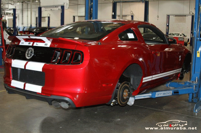 بدأ صنع وإنتاج موستنج شلبي جي تي 500 سوبر سنايك 2013 بالصور Ford Shelby GT500 بدأ صنع وإنتاج موستنج شلبي جي تي 500 سوبر سنايك 2013 بالصور Ford Shelby GT500 3