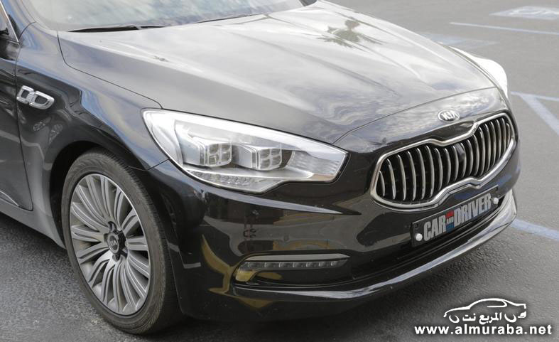 2013-kia-k9-spy-photo-photo-554016-s-787x481