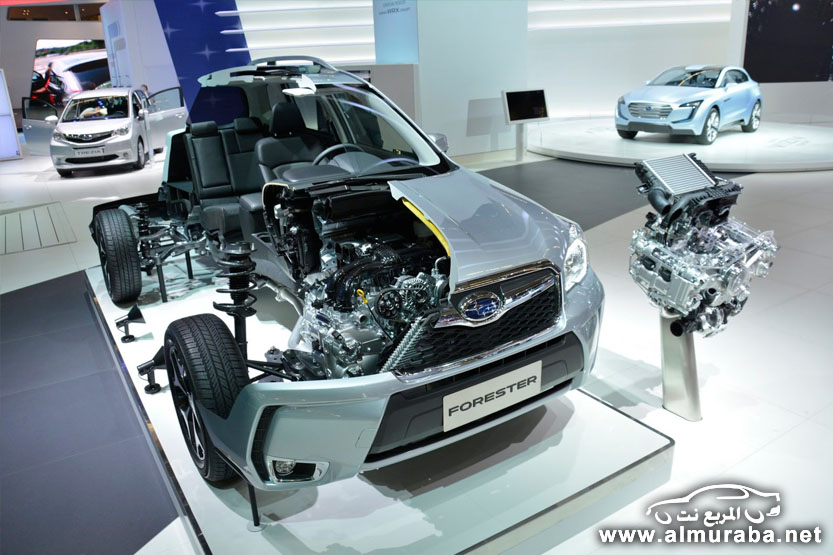Subaru-IAA-2013-28[2]
