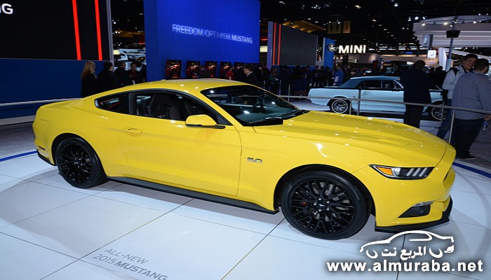 2015-ford-mustang-roars-into-chicago-live-photos-medium_1