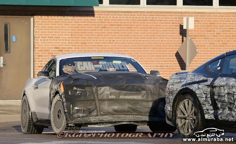 2016-ford-mustang-shelby-gt500-spy-photo-photo-602923-s-787x481