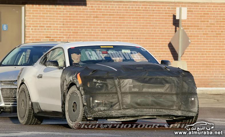 2016-ford-mustang-shelby-gt500-spy-photo-photo-602924-s-787x481