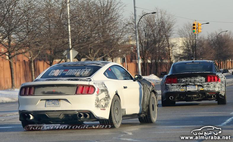 2016-ford-mustang-shelby-gt500-spy-photo-photo-602928-s-787x481