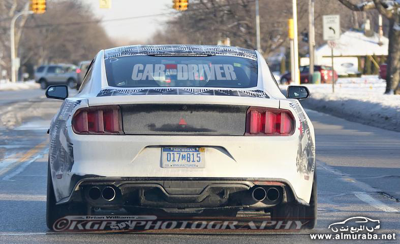 2016-ford-mustang-shelby-gt500-spy-photo-photo-602929-s-787x481