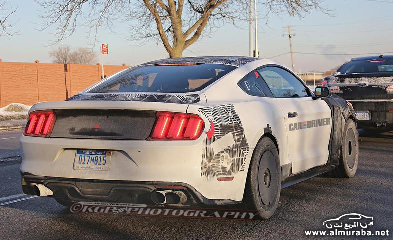 2016-ford-mustang-shelby-gt500-spy-photo-photo-602930-s-787x481