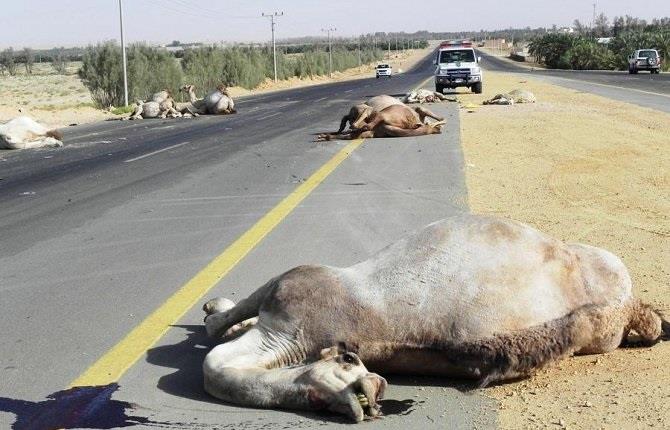 651d5c7d-3ff9-4e83-8706-bd73493803b3