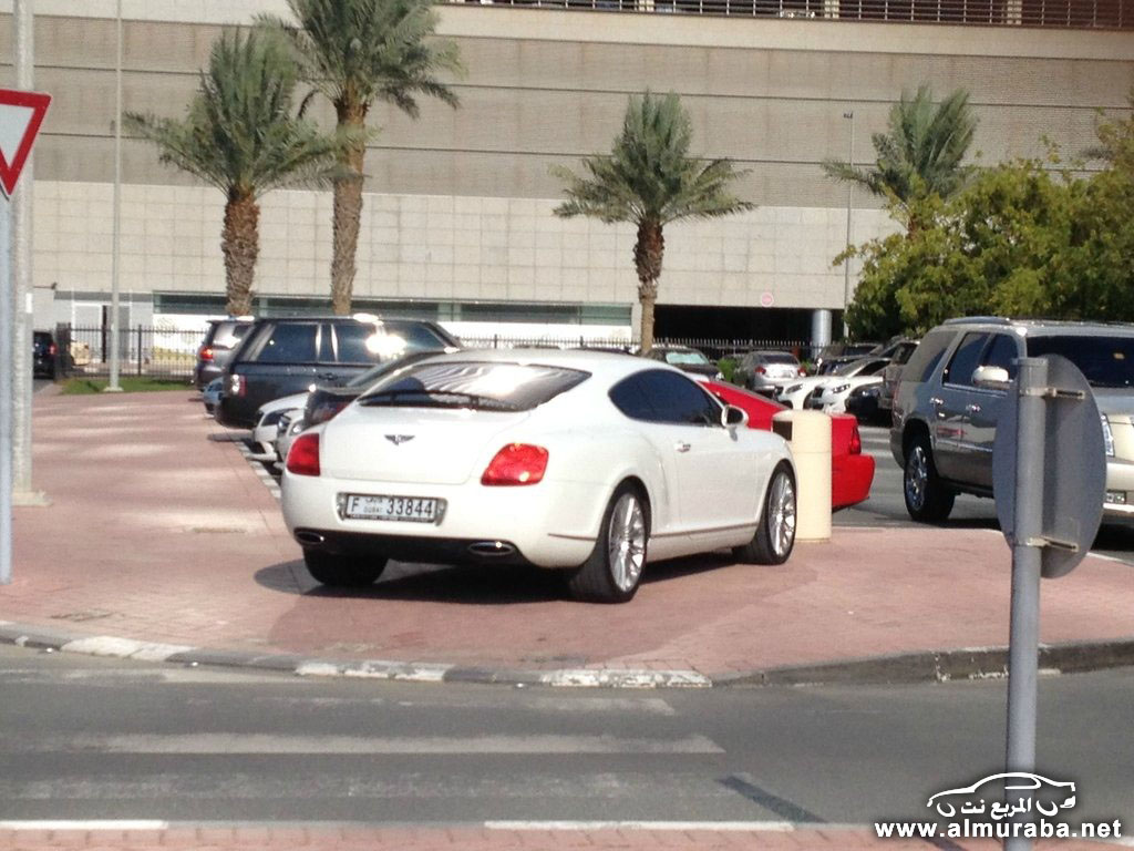 American-University-Dubai-Supercars-24