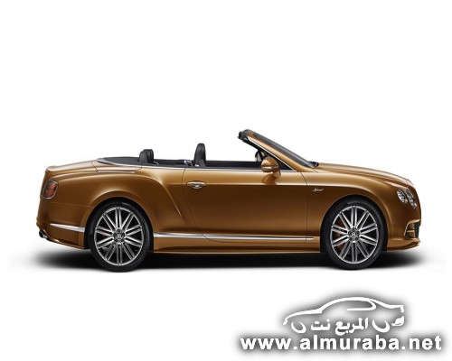 Bentley-Continental-GT-Speed-Convertible-3[2]