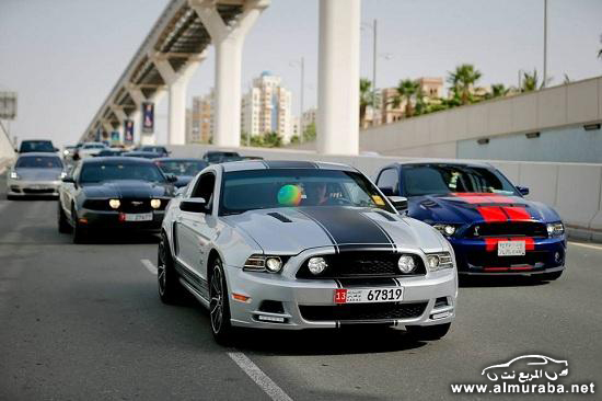 Ford-Mustang-50th-5