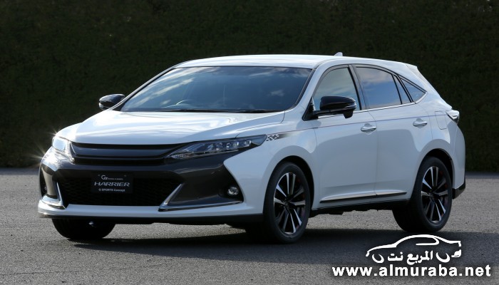 HARRIER_G_SPORTS_Concept_1