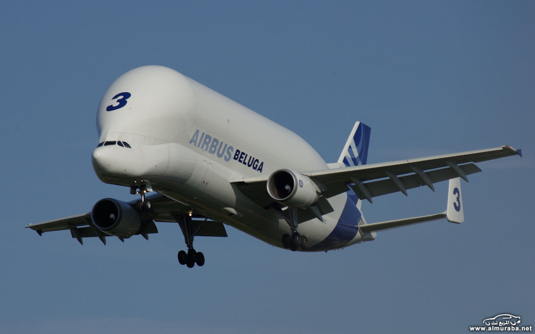 a300-600st-beluga