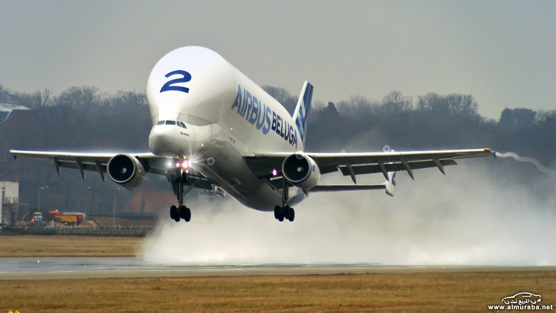 airbus-beluga
