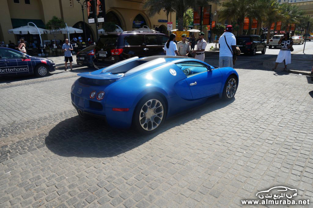 bugatti-veyron-16.4-grand-sport-c108727102013140209_2