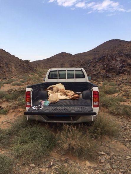 c13033c1-94b4-4b35-90fa-aa767b338f36