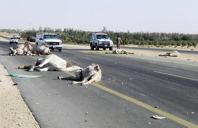 d3219898-286e-4410-bf1c-6f8c76d58b4d