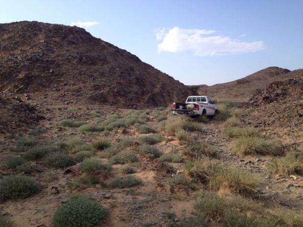 fc0839f7-a1d6-499b-ba97-28bba07c0ef7