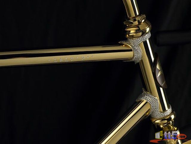 golden-bicycle-photos-1