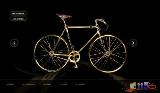 golden-bicycle-photos-10