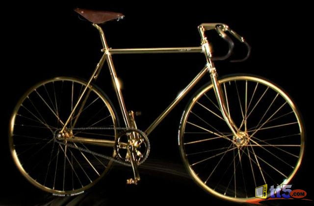 golden-bicycle-photos-11