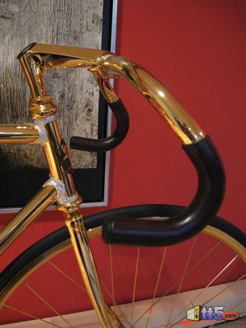 golden-bicycle-photos-3