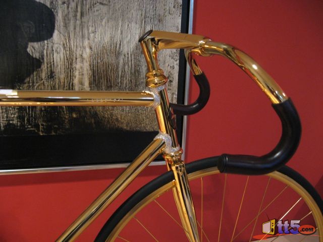golden-bicycle-photos-4