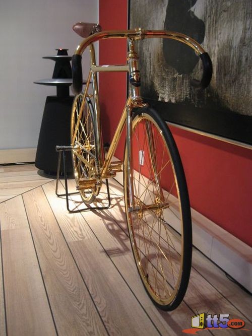 golden-bicycle-photos-6
