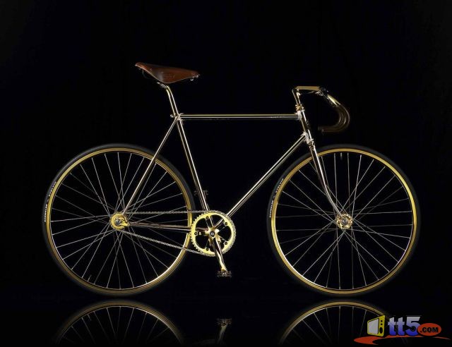 golden-bicycle-photos-7