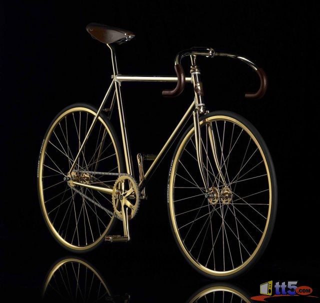 golden-bicycle-photos-8