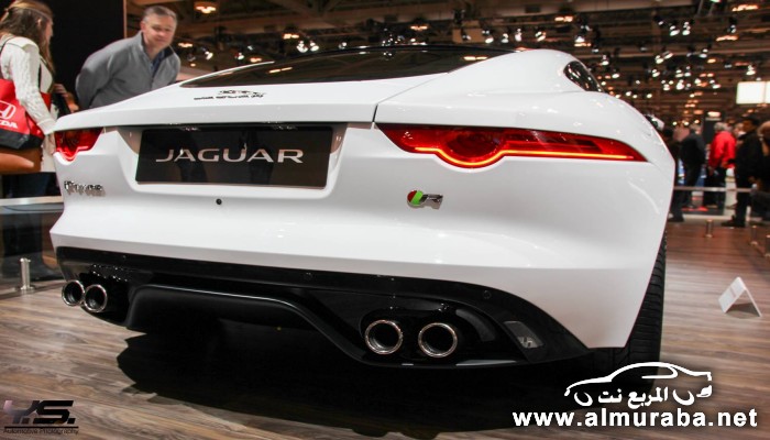 jaguar-6