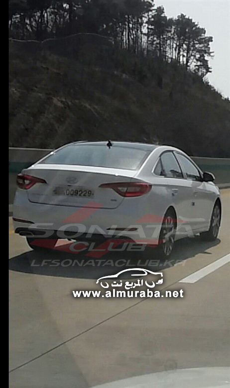 lfsonataclub_pds_photo_552_201403222046644396_0