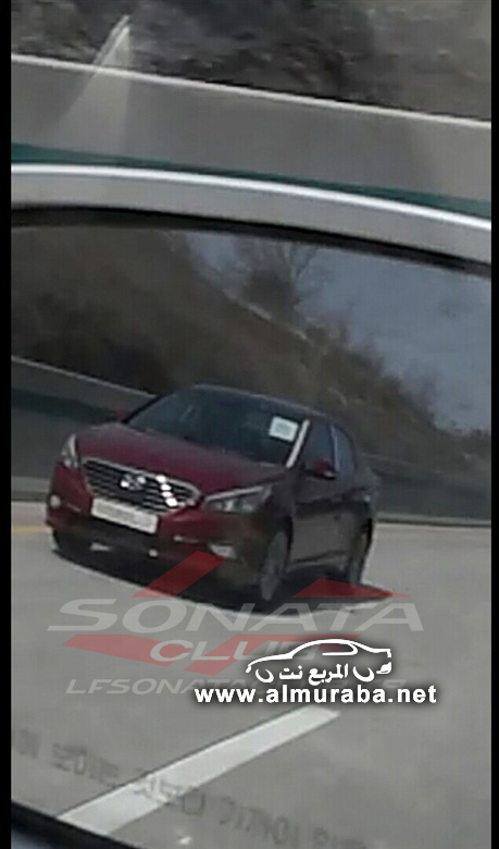 lfsonataclub_pds_photo_552_201403222046644396_1