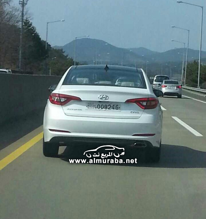 lfsonataclub_pds_photo_554_2014032300474582359_01