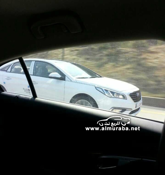 lfsonataclub_pds_photo_554_2014032300474582359_02