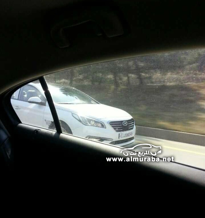 lfsonataclub_pds_photo_554_2014032300474582359_03