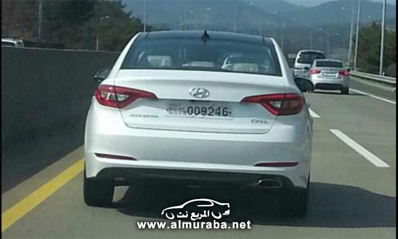 lfsonataclub_pds_photo_555_2014032308012227375_1