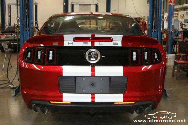 بدأ صنع وإنتاج موستنج شلبي جي تي 500 سوبر سنايك 2013 بالصور Ford Shelby GT500