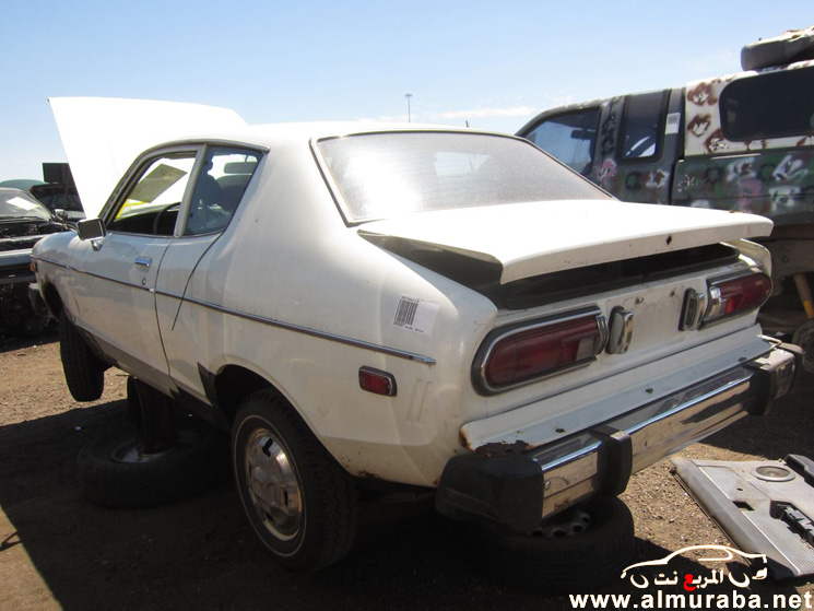 داتسون 1978 كوبيه تحارب الصدأ منذ ذلك الوقت بالصور + فيديو قديم لها على التلفزيون 1978 Datsun
