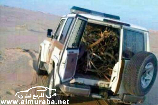 صورة على موقع التواصل الاجتماعي "تويتر" لسيارة دورية أمنية محملة بالحطب تجذب المغردين ! صورة على موقع التواصل الاجتماعي "تويتر" لسيارة دورية أمنية محملة بالحطب تجذب المغردين ! 11