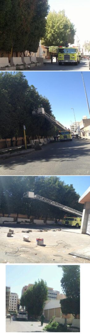 بالصور سيارة "الدفاع المدني" تنوب عن الأمانة في قص أشجار منزل محافظ الطائف! 5