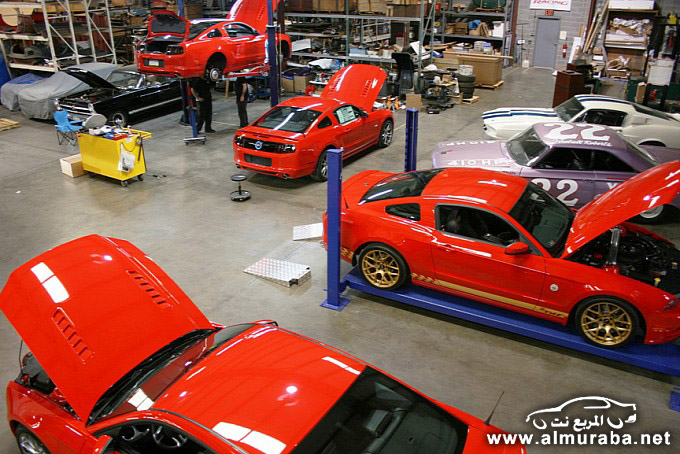 فورد موستنج 2014 المطورة يتم إنتاجها الآن بواسطة هولمان ومودي Ford Mustang TdF 2014