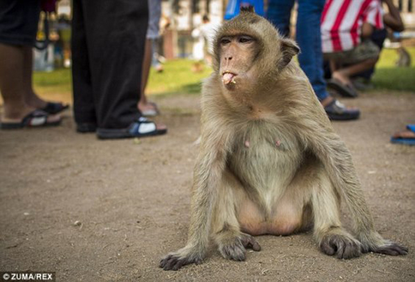 "بالصور" شاهد اشياء لم تكن تعرف انها مسموحة على متن الطائرات 1