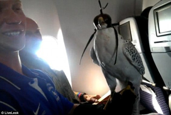 "بالصور" شاهد اشياء لم تكن تعرف انها مسموحة على متن الطائرات 2
