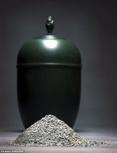 "بالصور" شاهد اشياء لم تكن تعرف انها مسموحة على متن الطائرات 4