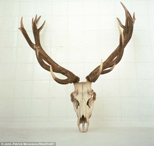 "بالصور" شاهد اشياء لم تكن تعرف انها مسموحة على متن الطائرات 5